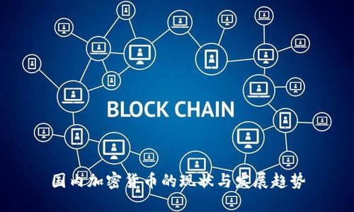 国内加密货币的现状与发展趋势